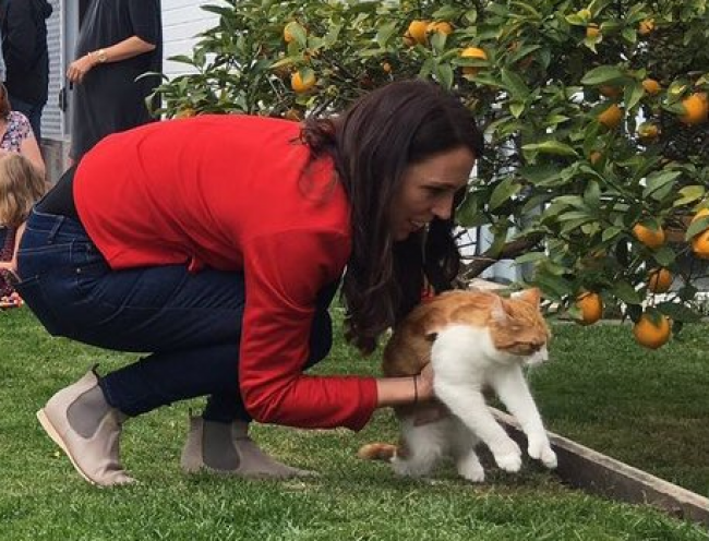 Novozélanďania smútia za premiérkinou nezvyčajnou mačkou