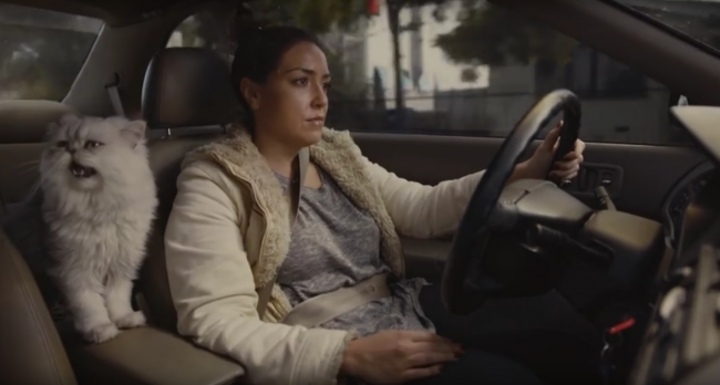 Video: Muž dostal geniálny nápad, ako predať auto svojej priateľky. Teraz ho chcú všetci