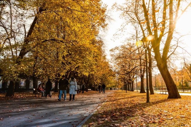 Počas týždňa dôjde ku zmene počasia, čaká nás výrazné oteplenie