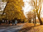 Počas týždňa dôjde ku zmene počasia, čaká nás výrazné oteplenie