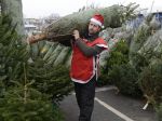 Vianočný stromček zanechal v nemeckom mestečku spúšť
