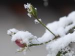 V Oravskej Lesnej pribudlo za 24 hodín 20 cm nového snehu