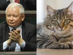 Kaczyňského prichytili, ako si v parlamentnej lavici číta atlas mačiek