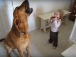 Video: Dieťa začalo hrať na ústnej harmonike. Pes sa postaral o hotovú „šou“