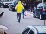 Video: Odvážny pes zachránil ženu pred pouličným zlodejom