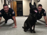 Video: Tento pes sa kolegom policajtom postaral o najlepšiu rannú rozcvičku