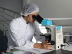 Košickí vedci vyvinuli unikátny biomateriál pre medicínu