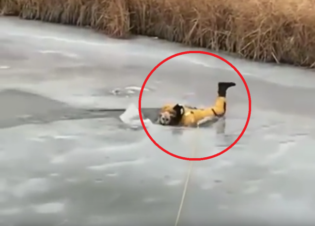 Video: Dramatická záchrana psa, pod ktorým sa prelomil ľad