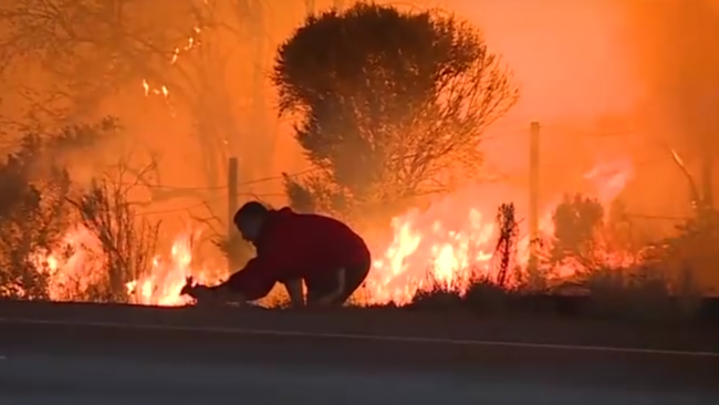 Video: Muž riskoval svoj život, aby zachránil králika pred požiarom
