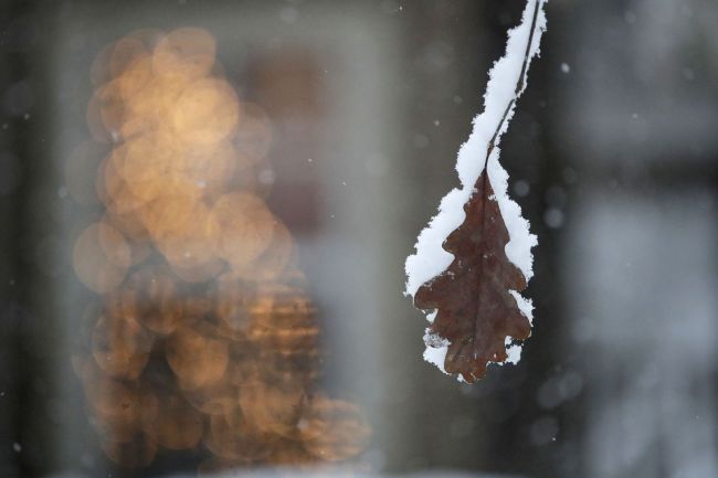 Keď december bystrí, január a február iskrí