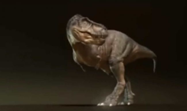 Video: Veda prišla na to, ako znel rev tyranosaura. Nie je to to, čo by ste čakali