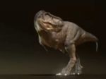 Video: Veda prišla na to, ako znel rev tyranosaura. Nie je to to, čo by ste čakali