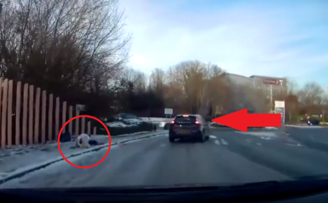 Video: Žena sa pošmykla na ľade. Nečakala, že bude mať takéhoto záchrancu!