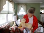 Žena z USA ohúrila novinkou: Je ňou robotická mačka, ktorá má pomôcť seniorom
