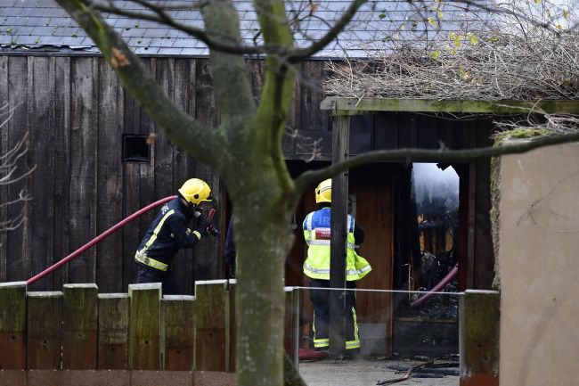 Pri požiari v londýnskej zoo zasahovalo viac ako 70 hasičov