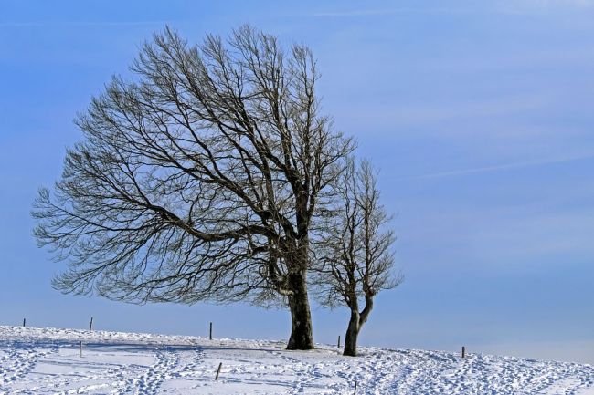 SHMÚ varuje pred silným vetrom v horských oblastiach severného Slovenska