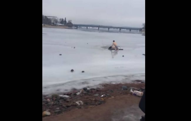 Video: Zúfalý psík sa snažil vyslobodiť z ľadu, pomohla mu dobrosrdečná rodina