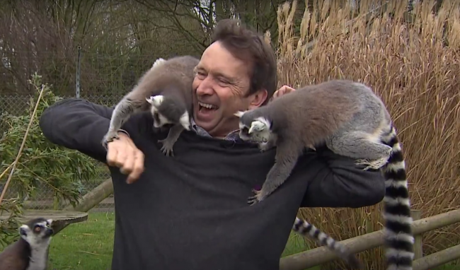 Video: Jeden muž vs. skupina lemurov. Neviete si ani predstaviť, čo sa z tohto vykľulo!