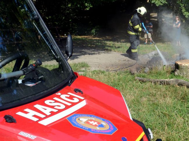 Hasiči mali vlani 33 737 výjazdov, najrizikovejšie dni sú piatok a sobota