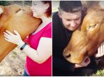 Video: Zachránená krava zbožňuje túlenie sa k ľuďom