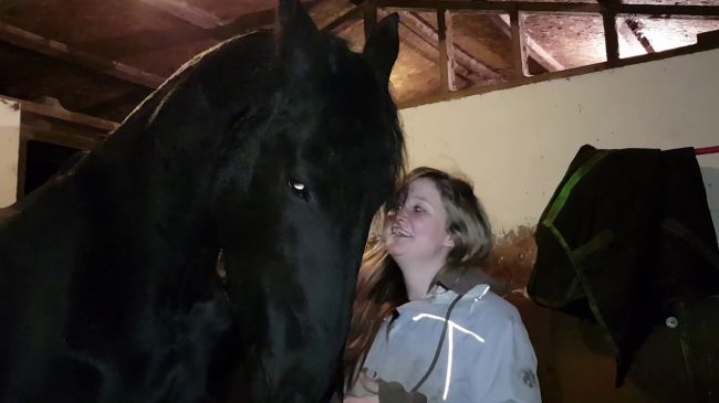Video: Kôň prekvapil majiteľku, takéto správanie ste ešte nevideli