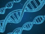 Británia povolila lekárom v Newcastli splodiť dieťa s DNA od troch ľudí