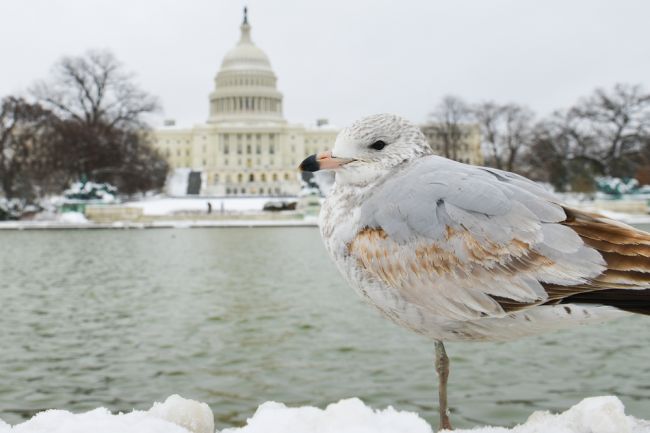Washington zažil najväčšie zmeny počasia za posledných 76 rokov
