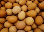 Nórsku výpravu na ZOH prekvapila zásielka 15.000 vajec