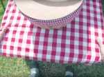 Video: Muž natočil bláznivý piknik, keď sa z idylického počasia stala pohroma