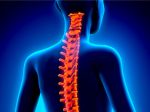 7 spôsobov, ako sa zbaviť bolesti chrbta a krku zo zlého držania tela