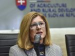 Matečná: Drevárska inšpekcia bude kontrolovať celý proces nakladania s drevom