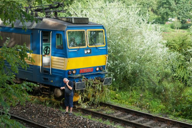 Dôchodca nechal zraziť 2 vlaky so stromom, aby sa Česi báli moslimov