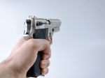 V amerických školách zavedú zbraňový výcvik pre učiteľov
