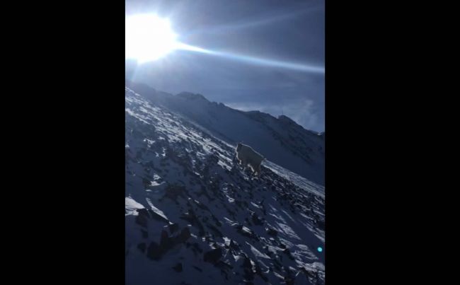 Video: Vo výške viac ako 3 kilometrov čakalo na lyžiara takéto prekvapenie