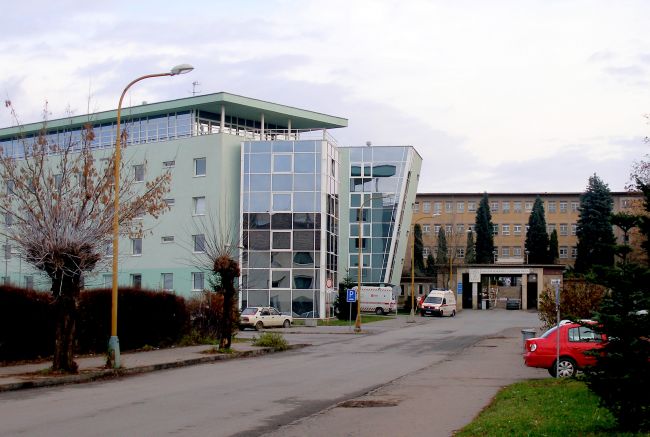 Primára z nemocnice v Prešove odsúdili za korupciu, bral vajcia i slivovicu