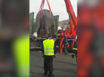 Z havarovaného kamióna vybehli na diaľnicu slony
