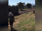 Video: Lev napadol muža, ktorý ho vychoval od mláďaťa