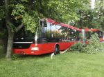 Video: V bratislavskej Dúbravke sa dal autobus svojvoľne do pohybu