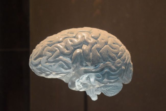 Slovák vymyslel čip, ktorý bude do dvoch rokov schopný simulovať ľudský mozog