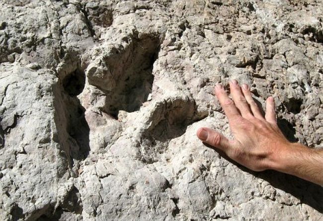 Slovenskí vedci objavili v Tatrách nové stopy dinosaurov
