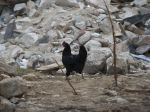 V Česku zaznamenali jedno z najsilnejších zemetrasení za posledné 4 roky