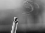 Tabak zničí srdcia - zdôrazňuje WHO k téme Svetového dňa bez tabaku
