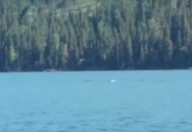 Video: Lochnesská príšera preplávala do Číny, našli ju v jazere Kanas