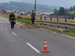 Motockylista sa pri obci Hybe zrazil s jeleňom