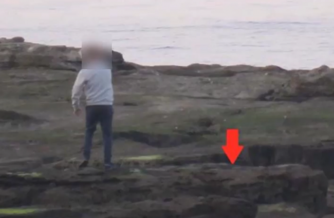 Video: Ľudia hádzali kamene do tuleňov zo šokujúcich dôvodov