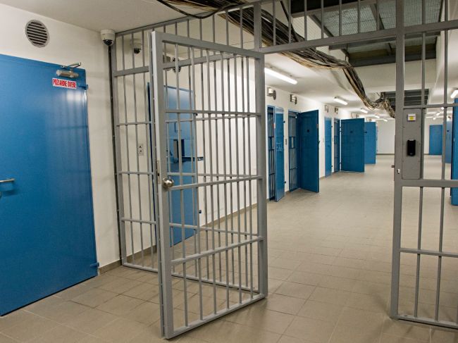 V ČR bude po mobiloch vo väzniciach pátrať psia jednotka