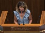 Slovenská republika podľa Nicholsonovej porušuje ľudské práva zdravotne postihnutých