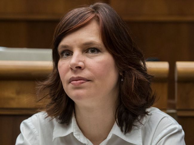 Opozícia chce pre situáciu v SAV zvolať mimoriadny školský výbor
