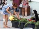 Horúčavy budú pokračovať, na niektorých miestach bude 36 stupňov