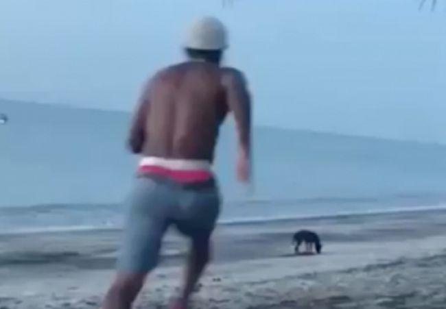 Video: Muž chcel kopnúť túlavého psa. Karma ho dobehla niekoľkonásobne
